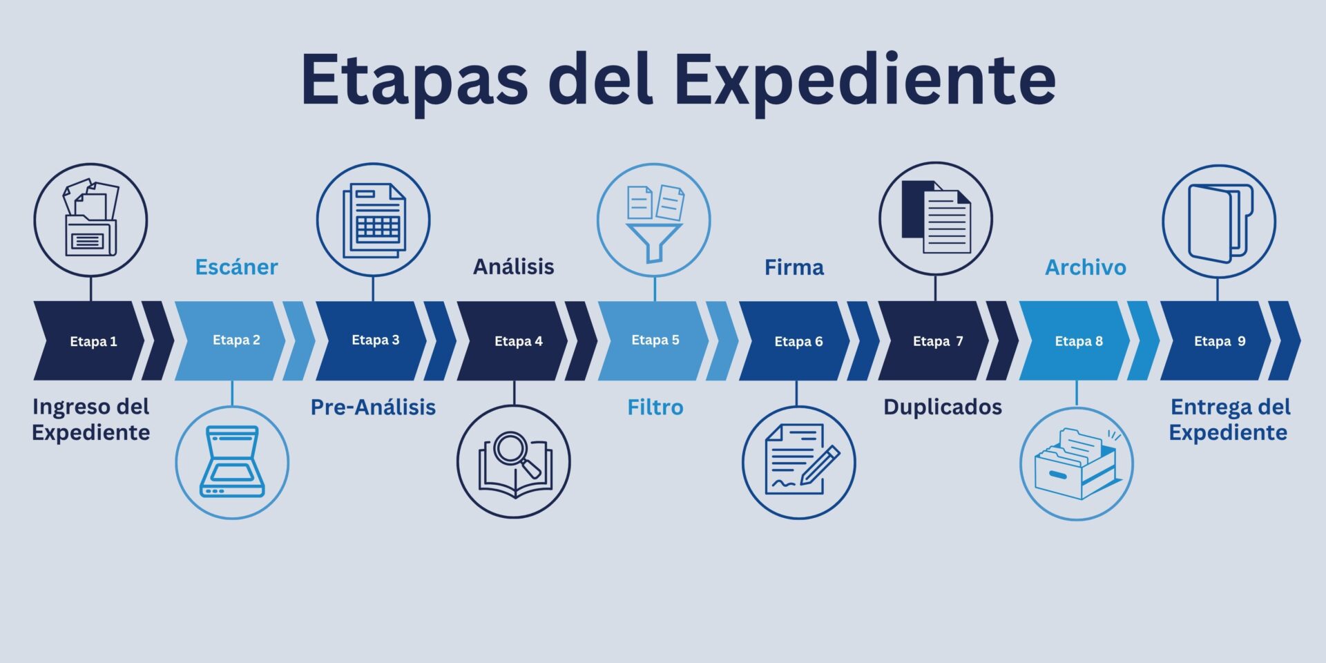 Etapas del Expediente Repeju